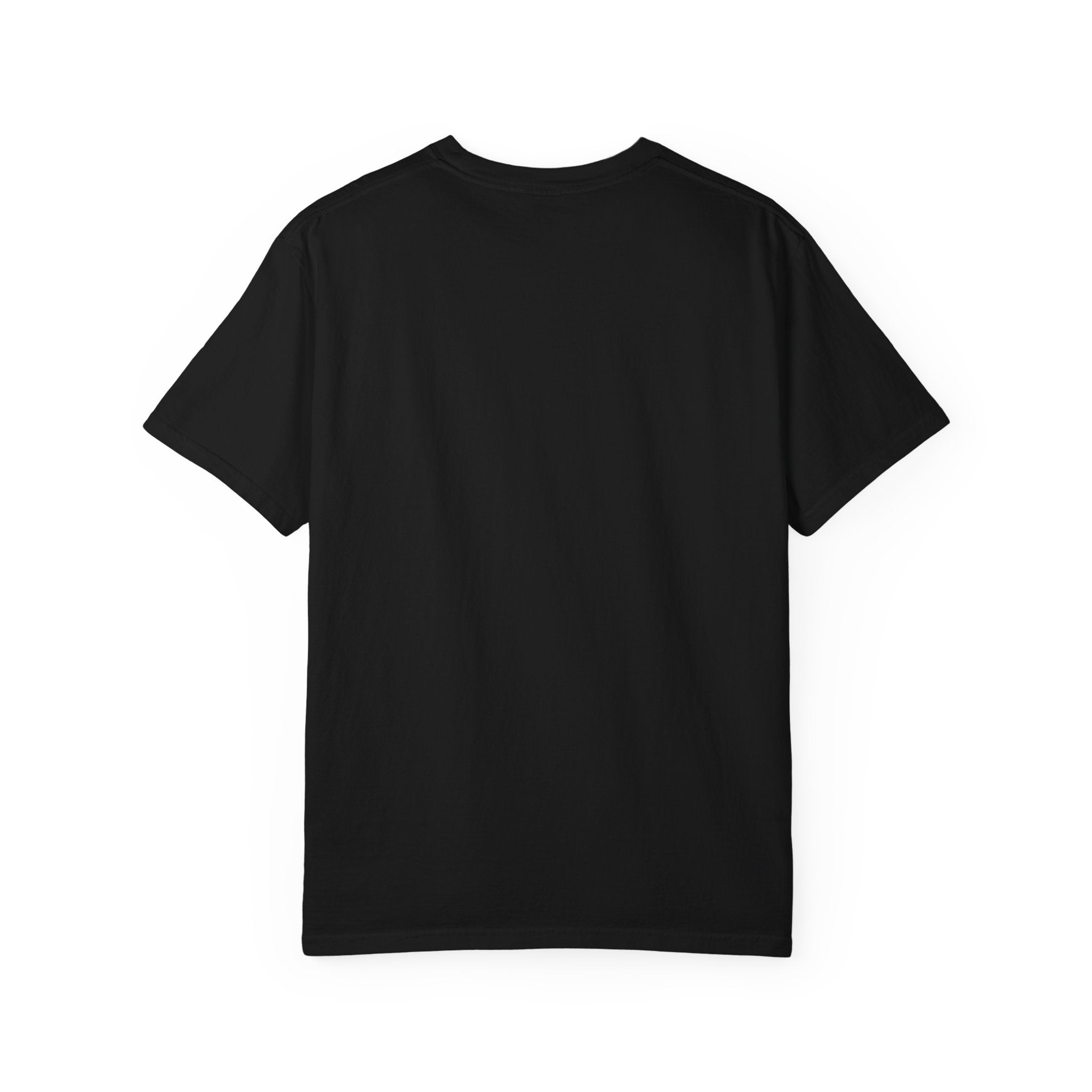 Double the Fury Cat T-Shirt — Fierce Cat Holding Two Swords